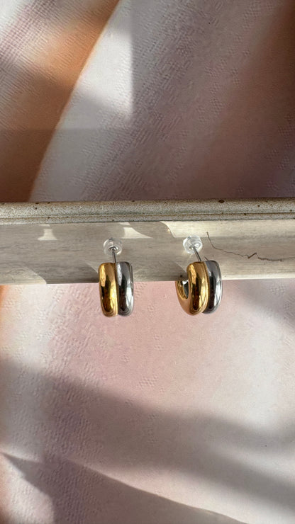 Silver / Gold  Earrings