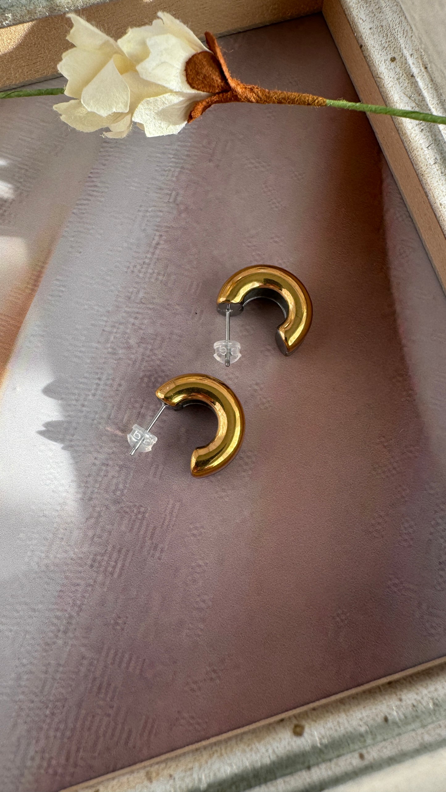 Silver / Gold  Earrings